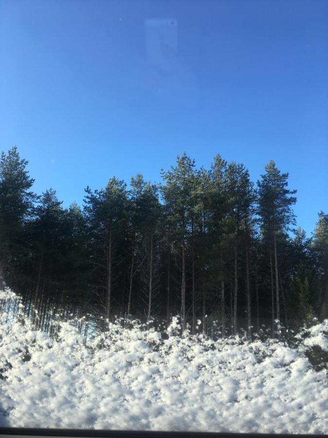 Kaeaenu Puhkemaja Villa Rakvere Exterior foto